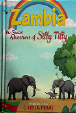 Liberty Book Writing